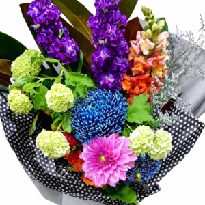 popping colour bunch