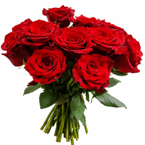 just to say i love you